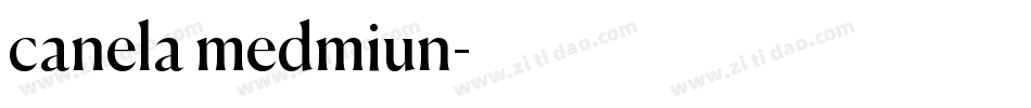 canela medmiun字体转换